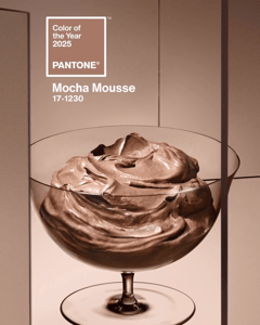 Pantone Mocha Mousse 17-1230 Colour of the Year