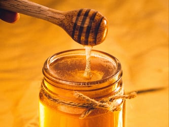 bondi-chai-great-debate-honey-art-rachen