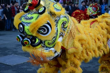 bondi-chai-chinese-new-year-lion-dance