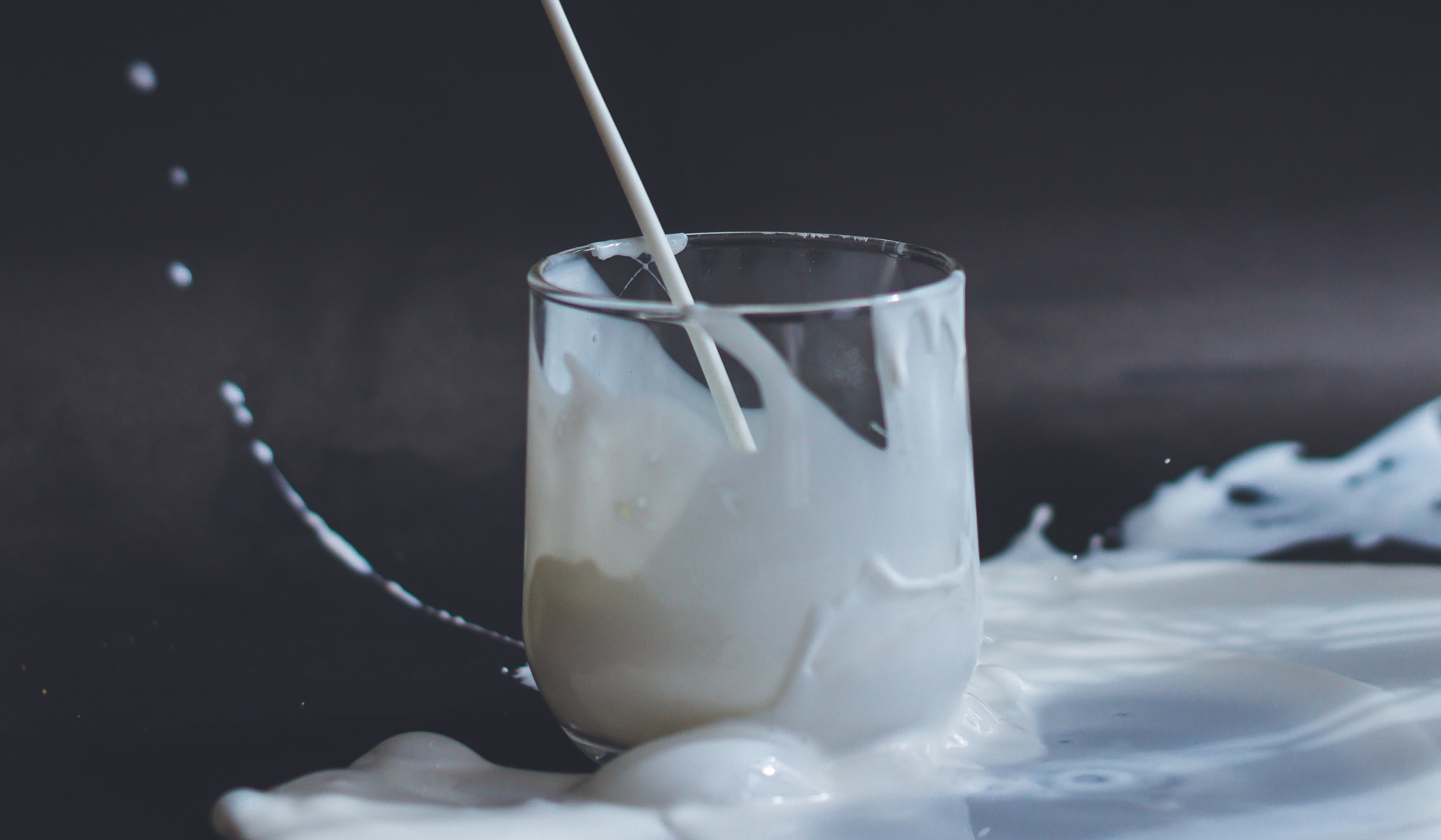 bondi-chai-got-milk-alternatives-anita-jankovic